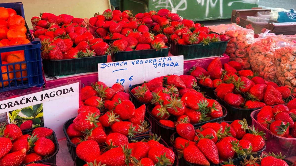 Na splitsku tržnicu stigle prve vrgoračke jagode. Kilogram i do 12 eura