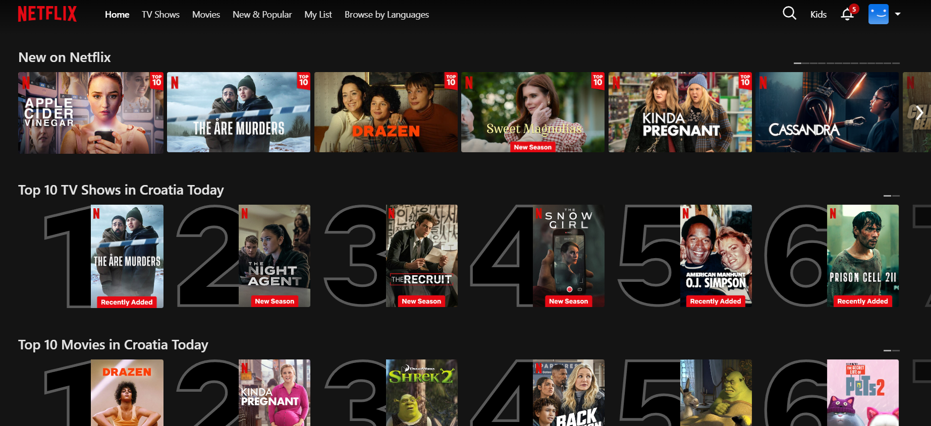 Na Netflixu postoje "tajni kodovi" za pretraživanje (da, i u Hrvatskoj)