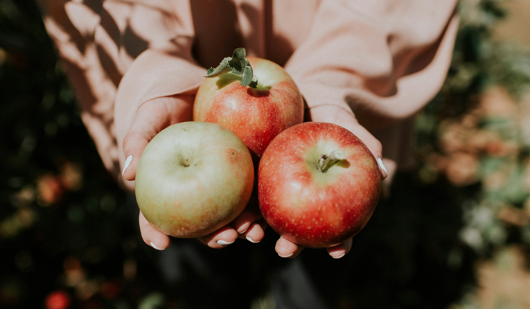 Gastroenterolog: Ove namirnice štite od raka debelog crijeva