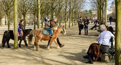 Pariz će nakon pritiska aktivista zabraniti jahanje ponija u parkovima