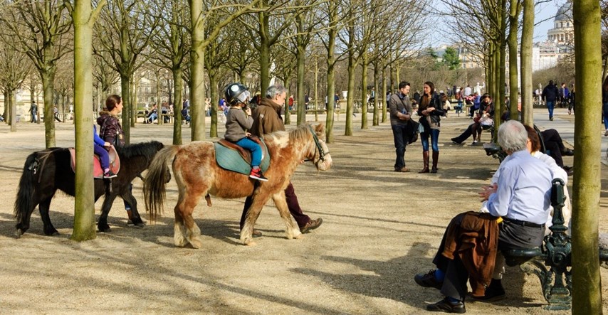 Pariz će nakon pritiska aktivista zabraniti jahanje ponija u parkovima