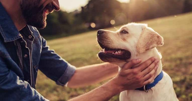Pet stvari koje veterinar želi da svaki vlasnik zna o svom psu
