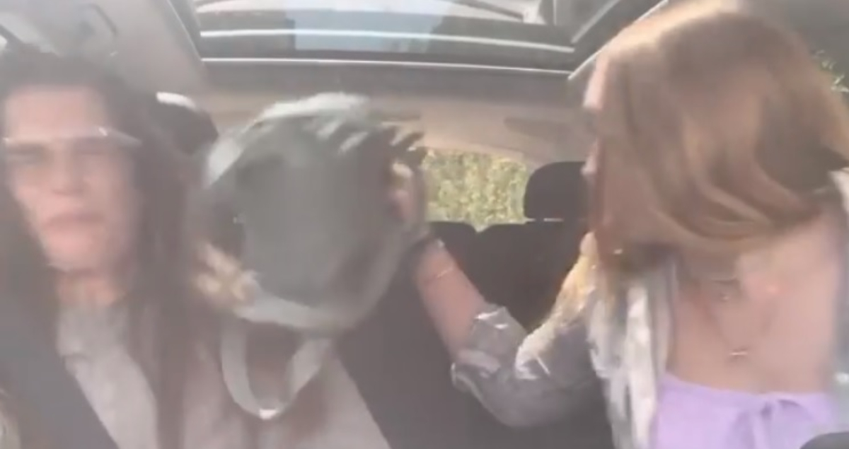 Slavnu glumicu kći je udarila torbom u glavu i sve snimila - zbog TikTok izazova