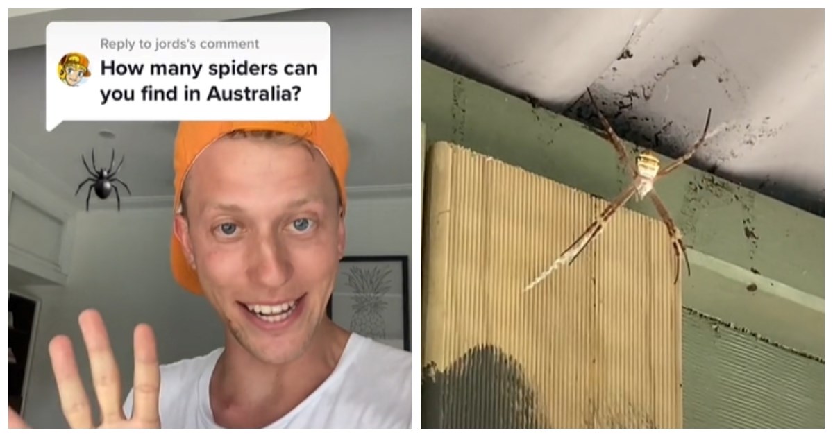 8 milijuna pregleda: Zbog ove snimke mnogi pišu da ne bi nikad živjeli u Australiji