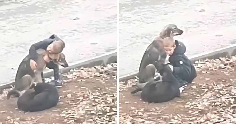 Dječak je stao kako bi zagrlio napuštenog psa na ulici