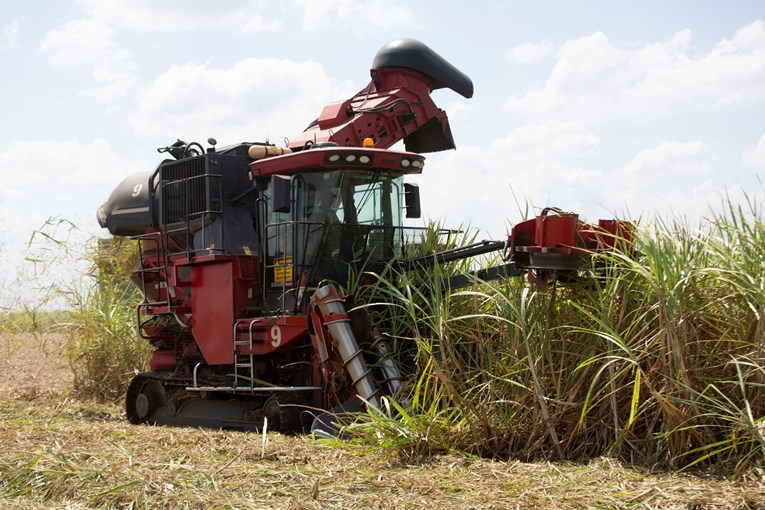 Naglo porasle globalne cijene ulja i šećera 