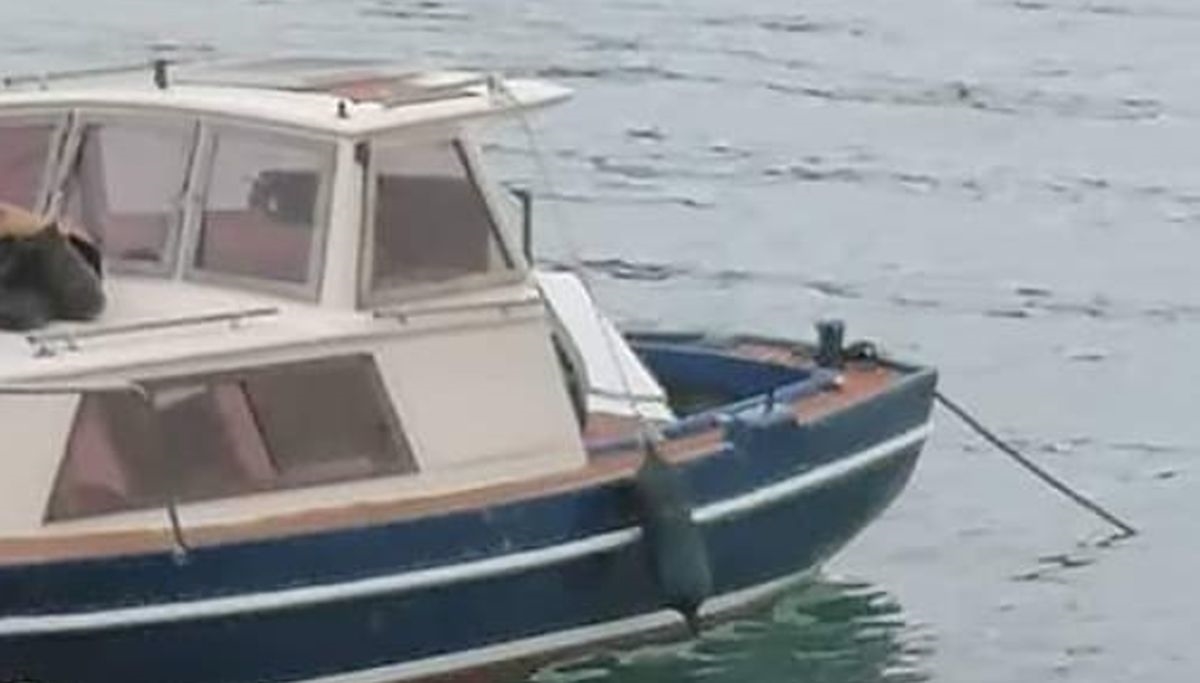 Prizor s brodića u Dalmaciji nasmijao ljude: Sve je dobro dok se ne okrene na stranu