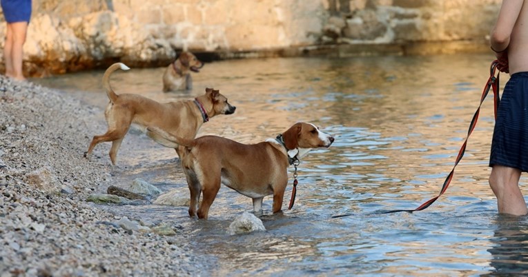 Rijeka: Vlasnici sa svojim ljubimcima uživaju na plaži za pse