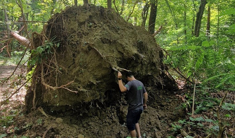 Uprava parka Maksimir: Još nije sigurno, padaju debla bez ikakvog povoda