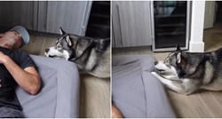 Vlasnik legao u krevet svog psa, njegova reakcija je urnebesna