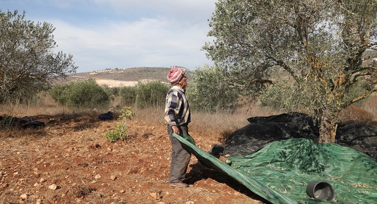 Palestinac: Židovski naseljenik je ubio mog nećaka dok je brao masline