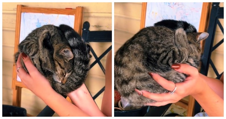 Vlasnica pokazala neobičnu pozu u kojoj spava njena mačka, video je hit na TikToku