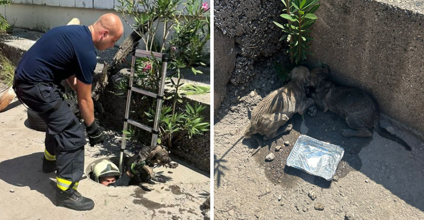 FOTO Vatrogasci iz Mostara spasili dva uplašena psića, pronašli ih u uskom šahtu