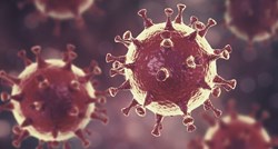 Koronavirus može preživjeti u zraku 3 sata, a na plastici danima