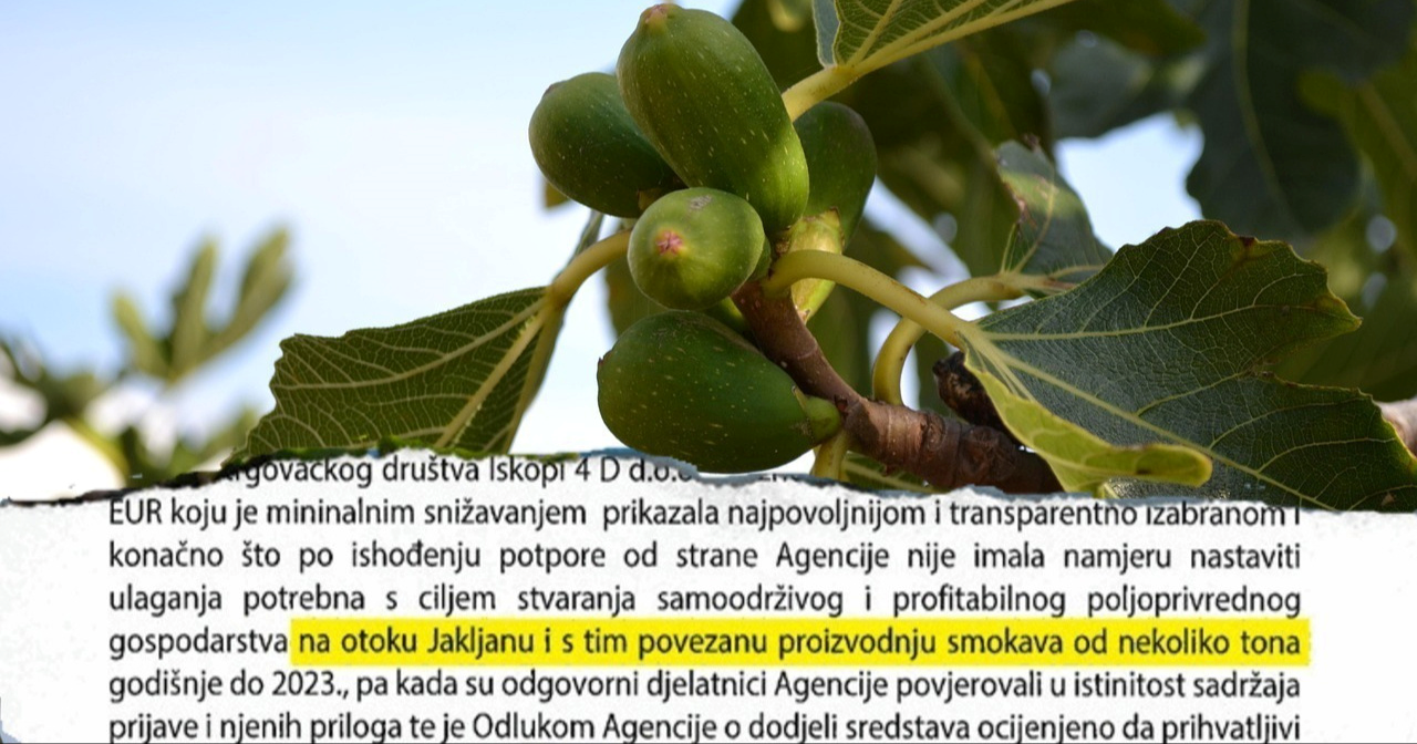 Suradnici riječke poduzetnice priznali muljanje s EU novcem: "Tražila je da šutimo"