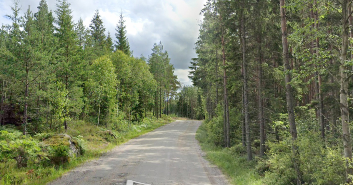 Kod granice Norveške i Švedske pucao na lovce, ubio oca i sina