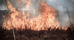 Požar na području Kopačkog rita je stavljen pod kontrolu