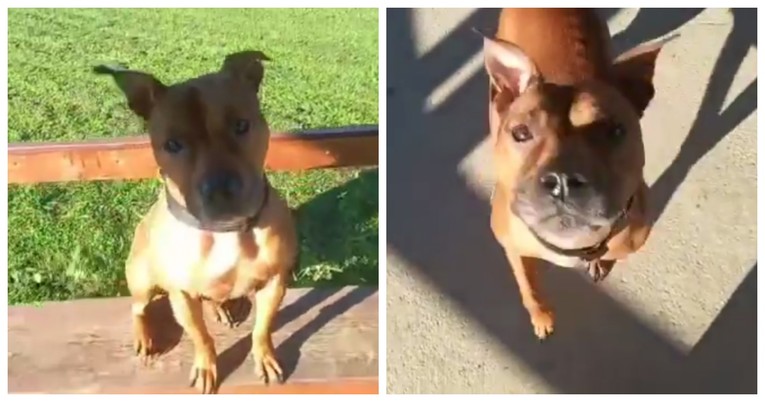 Doris u Dumovcu sanja o "duetu" sa svojim čovjekom. Možda ste to baš vi?