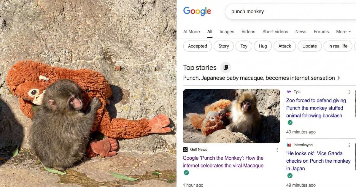 Jeste li skužili što se dogodi ako u Google ukucate "Punch the monkey"?