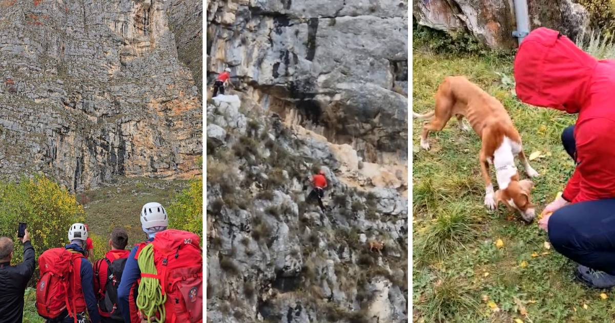 GSS spasio psa zarobljenog na strmoj litici kod Livna: "Čekao ga je zasluženi obrok"