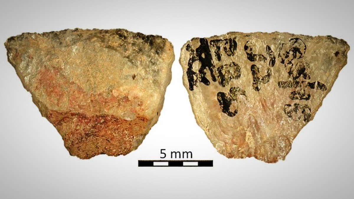 Otkrivene najstarije otrovne strijele, stare 60.000 godina