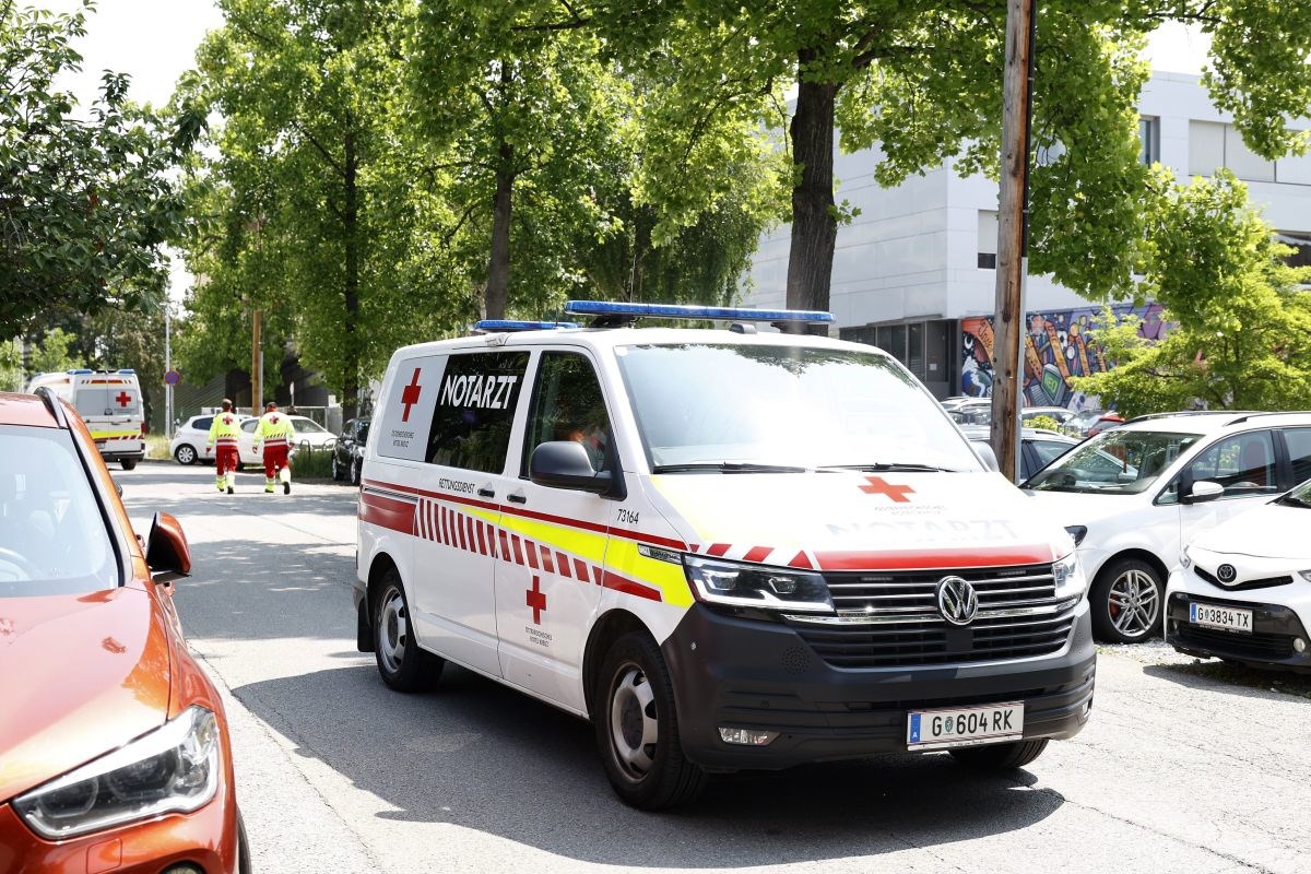 Majka u Austriji nožem ubila 12-godišnjeg sina