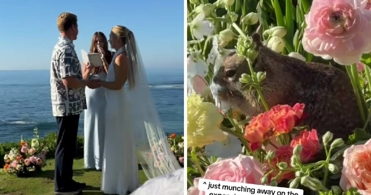 Neočekivan gost na vjenčanju zabavio ljude: "Gricka skupi buket"