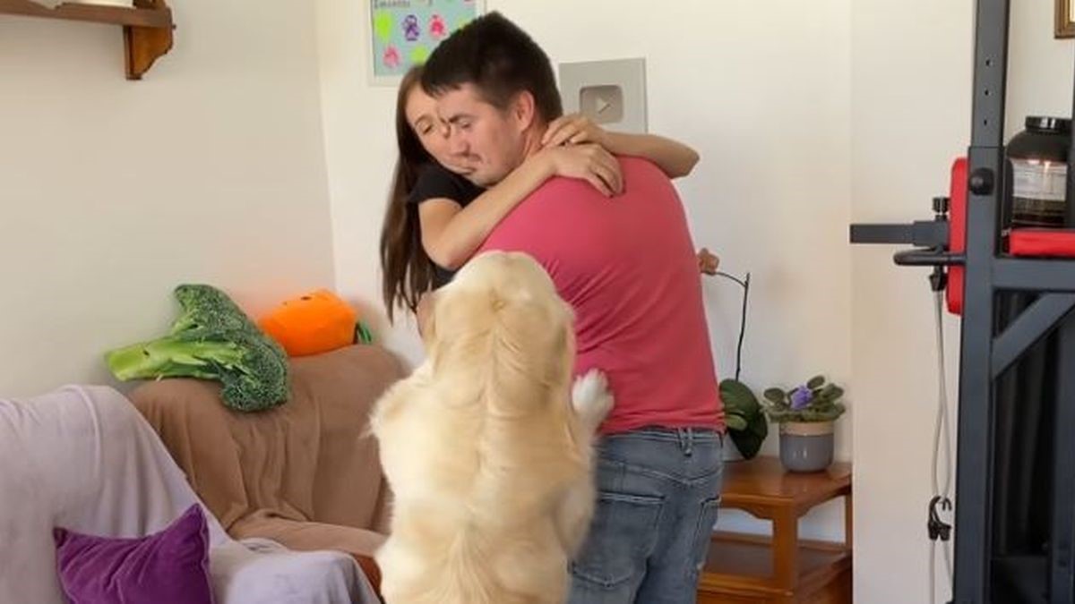 Zagrlio je ženu pred zlatnim retriverom, on nije skrivao svoju ljubomoru