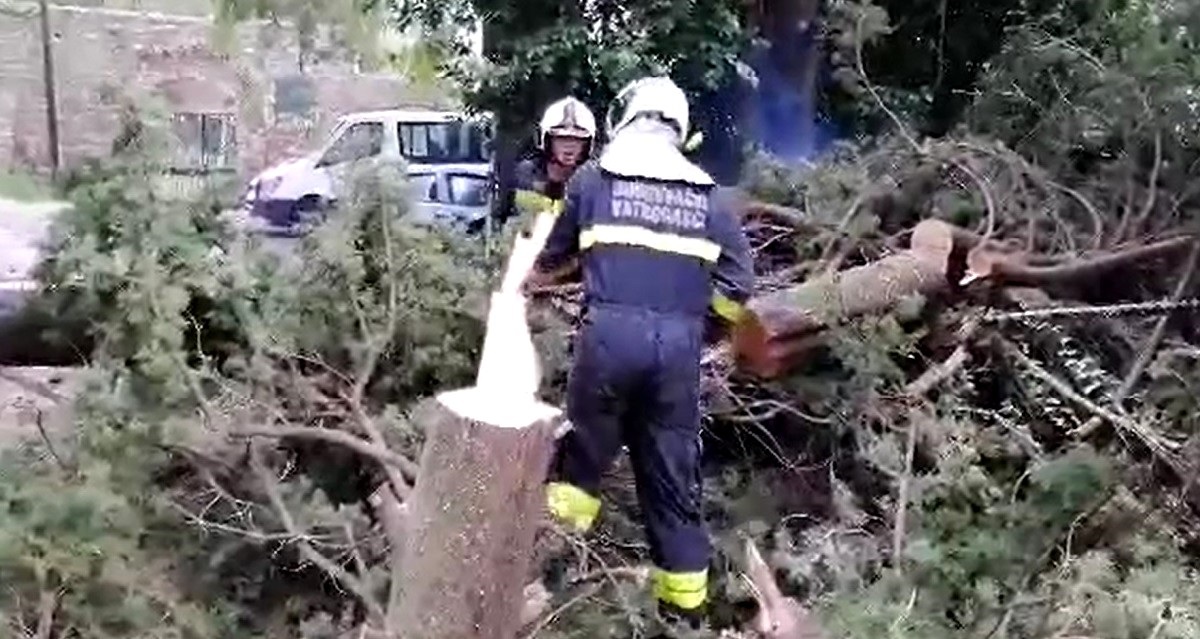 VIDEO Olujno jugo ruši stabla po Dubrovniku. Kod Palagruže valovi od 6 metara