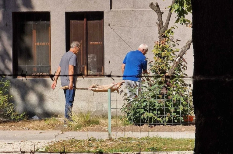 VIDEO U vrtu muzeja u BiH okretali prase na ražnju. "Nemoćno gledamo što se događa"