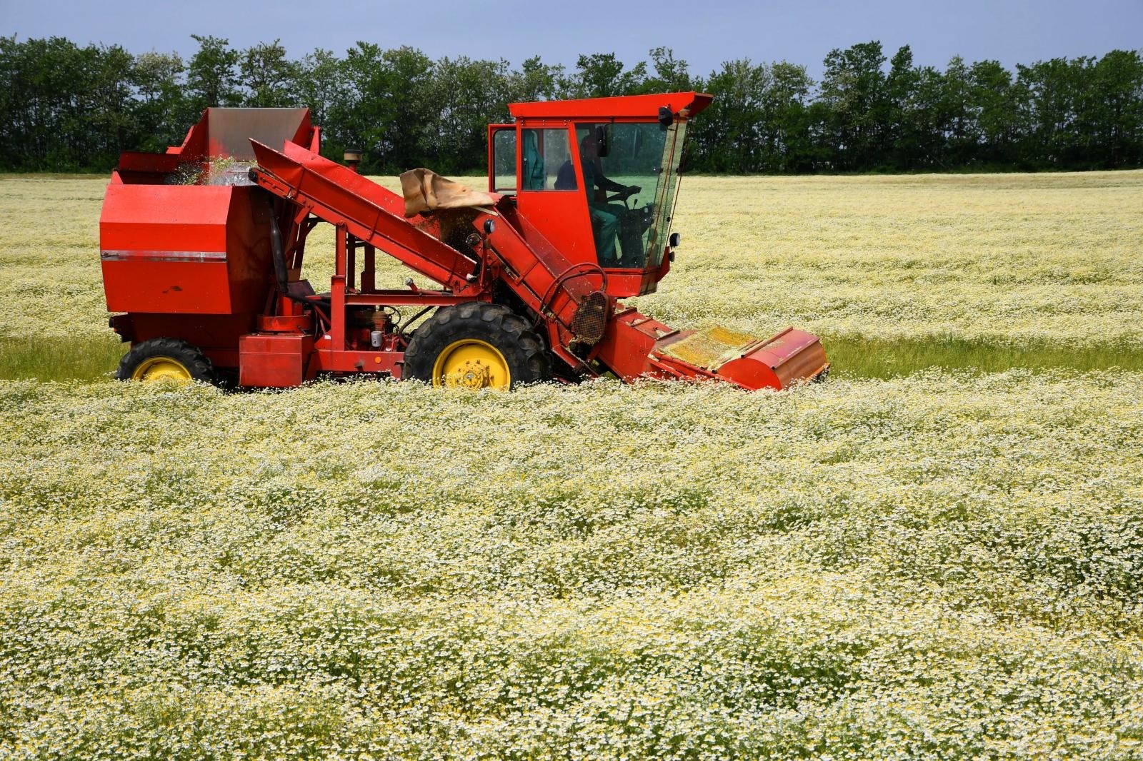 40-godišnjak ide u zatvor na 15 dana jer je vozio traktor bez položenog vozačkog