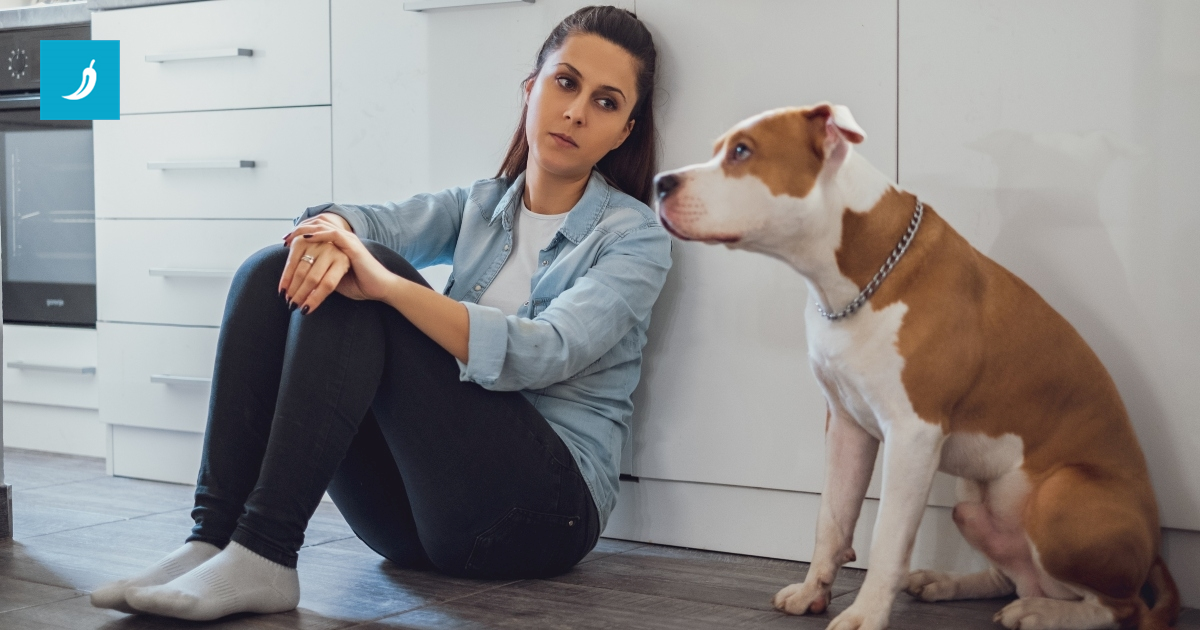 Novi pas u kućanstvu može uzrokovati anksioznost, kaže istraživanje