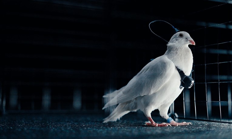 Rusi imaju novi alat za špijunažu