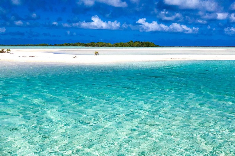 Austrijanku na Bahamima napao morski pas tijekom izleta