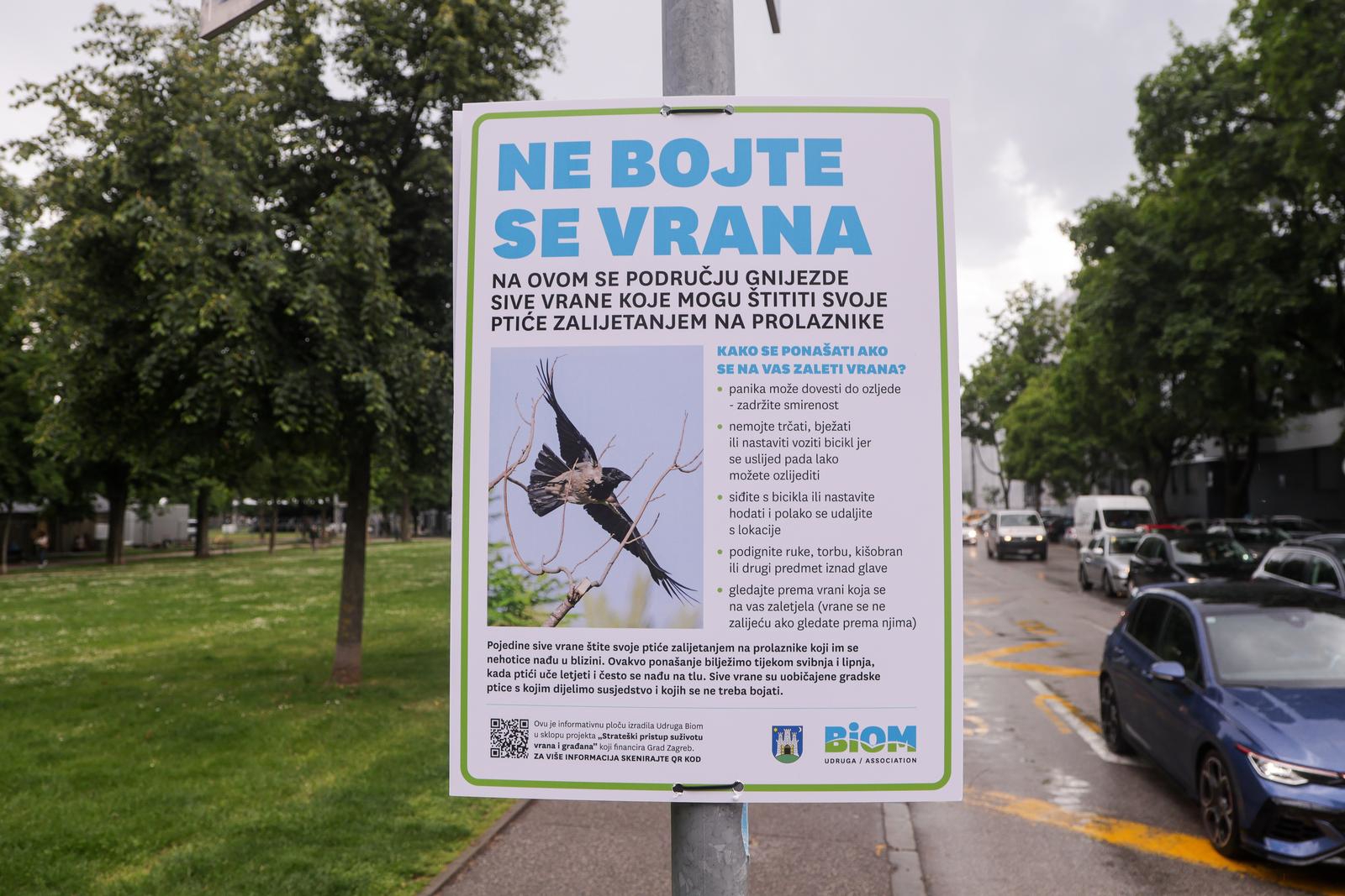 U Zagrebu više od 12.000 vrana, građani prijavljuju napade: "Zaletjela mi se u glavu"