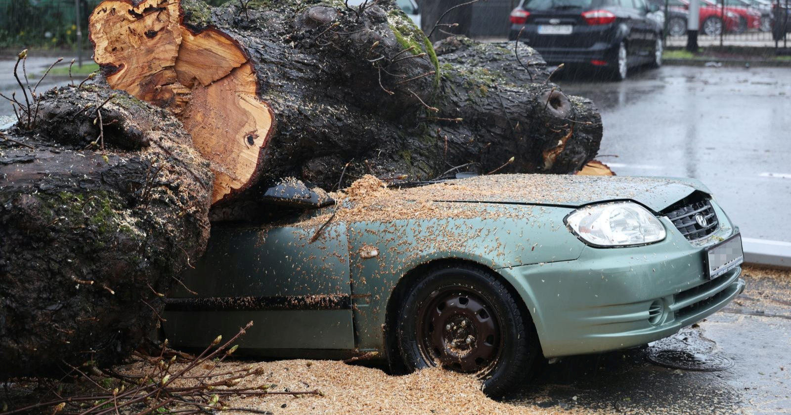 VIDEO DHMZ objavio crveni alarm za Zagreb. Vjetar lomi stabla, jedno palo na auto
