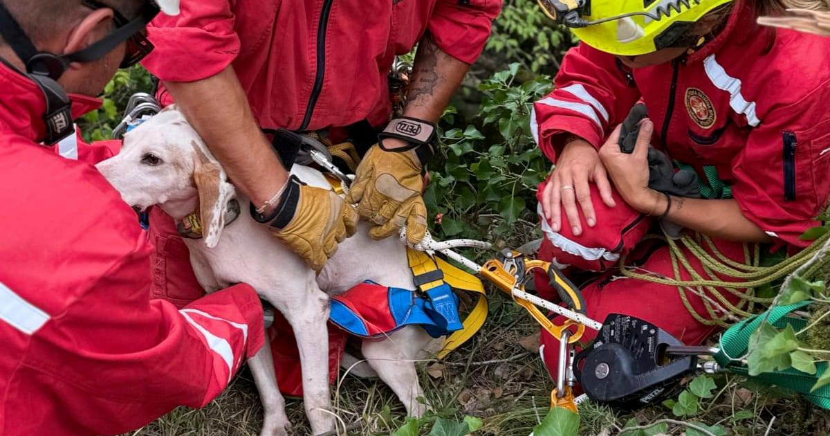 HGSS-ovci spasili lovačkog psa iz jame duboke 15 metara