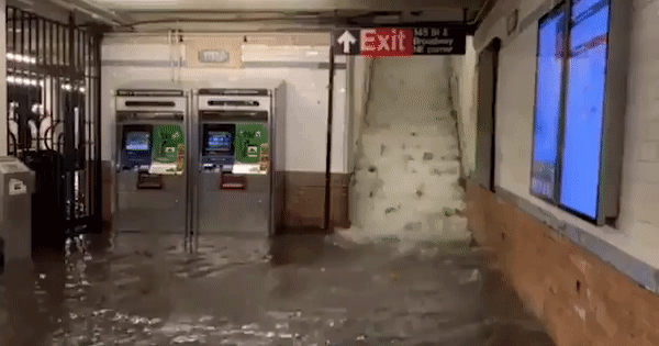 VIDEO Deseci mrtvih u poplavama u SAD-u, proglašeno izvanredno stanje