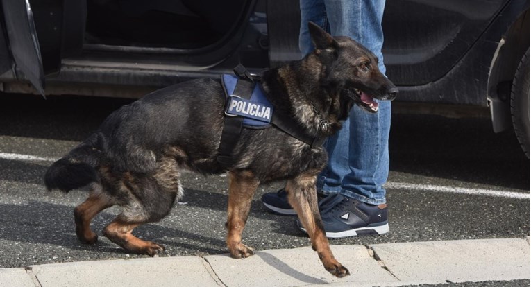Policijski pas u autu kod Dugopolja otkrio 340 grama kokaina, vozač je uhićen