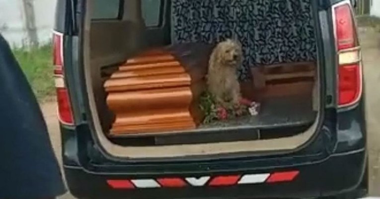 Vjerni pas nije htio napustiti vlasnicu ni na njenom pogrebu, stajao je uz lijes