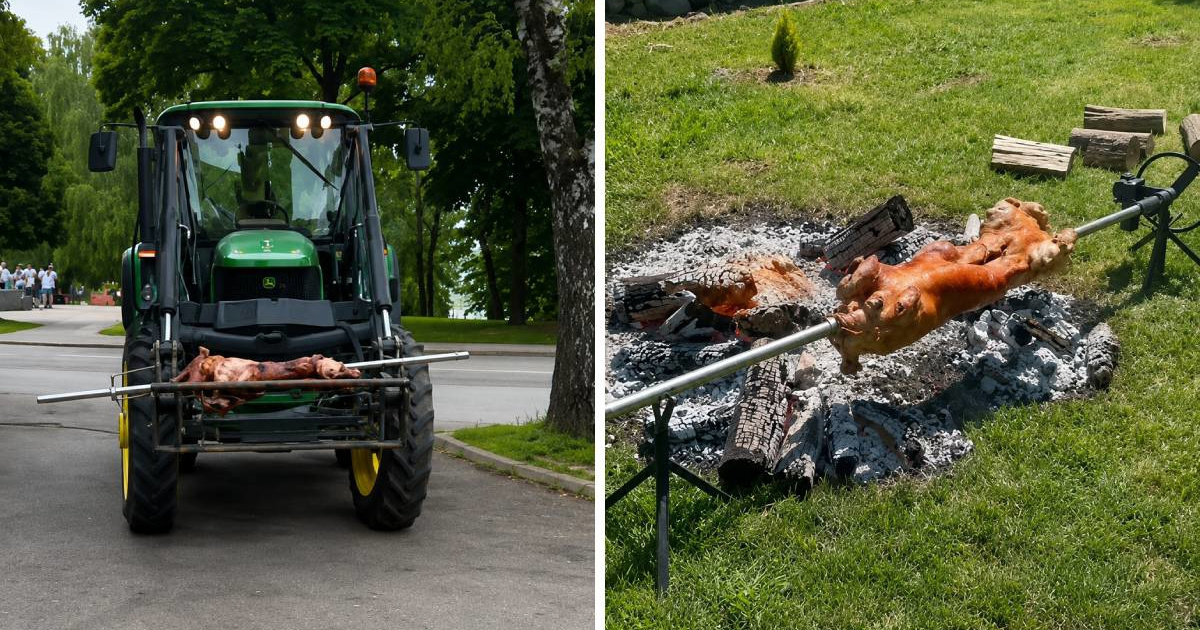 VIDEO Maturanti u Đakovu pred školu došli na traktorima pa ispekli prase
