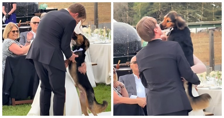 Ovaj pas je ukrao svu pažnju na vjenčanju svojih vlasnika