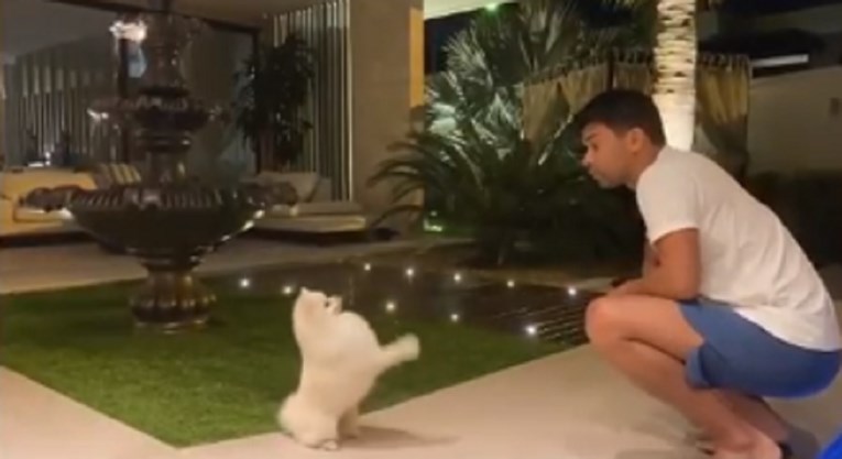 Pogledajte kako Eduardo da Silva dresira svog psa. Nudi da isto napravi i s vašim