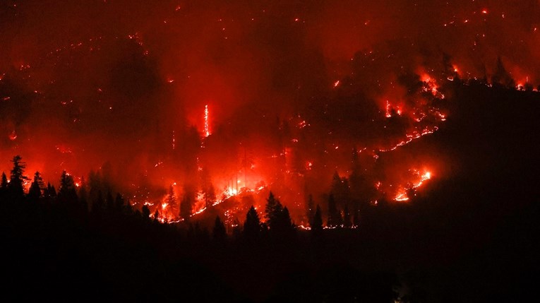 Studija: U idućih 28 godina broj ekstremnih šumskih požara povećat će se za 30%