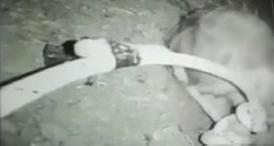 Spasioci blizu dječaku koji je pao u bunar u Maroku, ali postoji opasnost od odrona