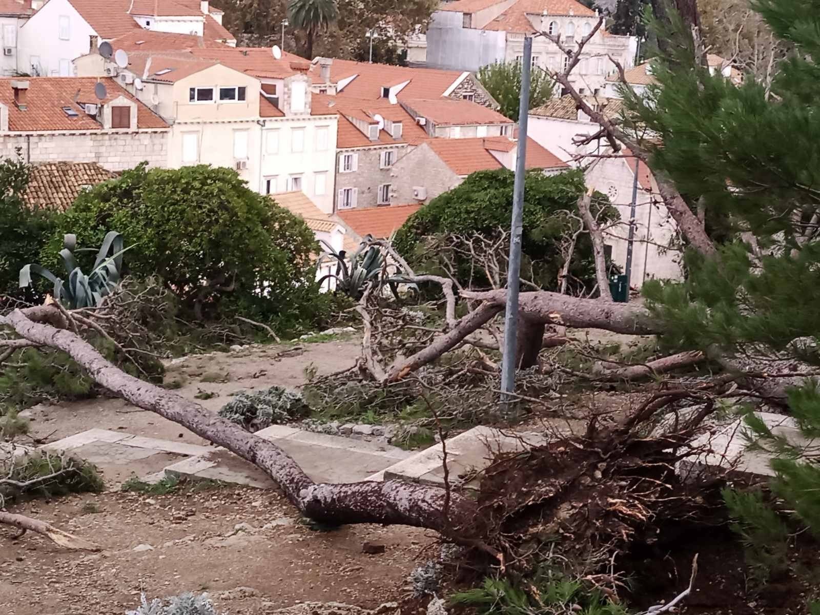 FOTO Jako Nevrijeme U Dubrovniku, Padala Stabla - Index.hr