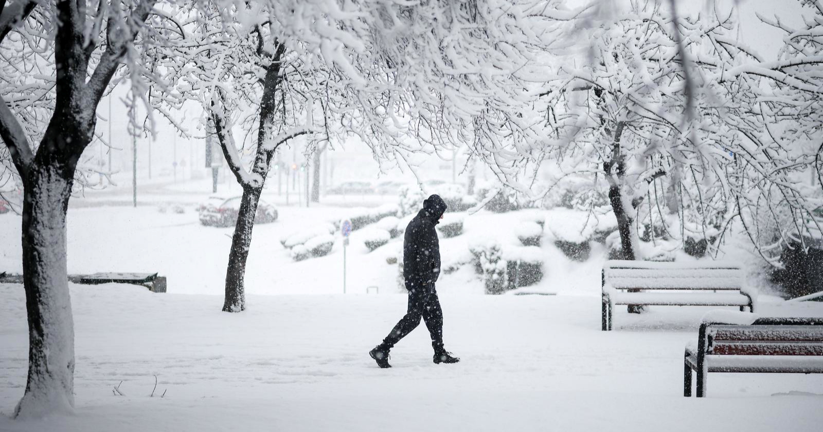 Snijeg u Sarajevu srušio stablo, palo je na ženu. Umrla je