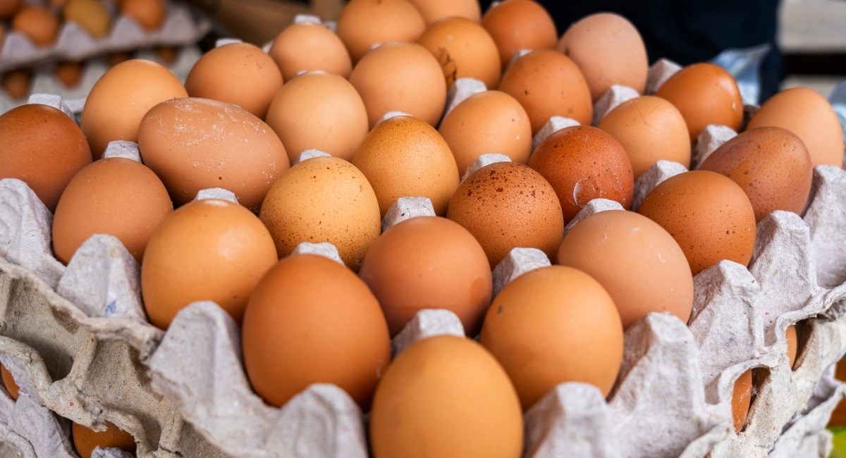 Trebaju li jaja hladnjak? Evo što je zapravo ispravno