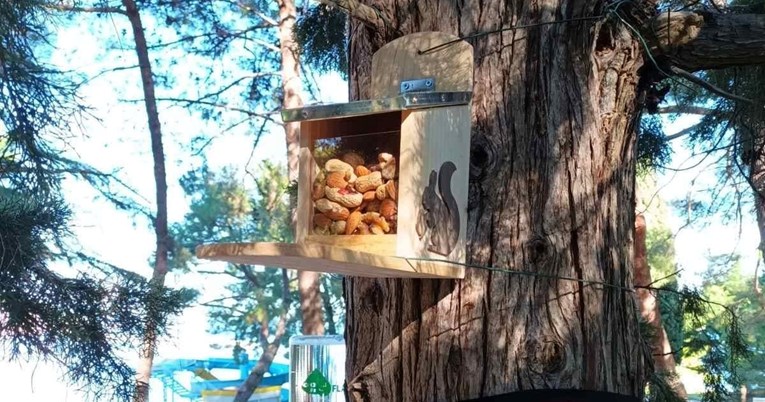 U Poreču se postavljaju hranilice, pojilice i kućice za vjeverice i ježeve