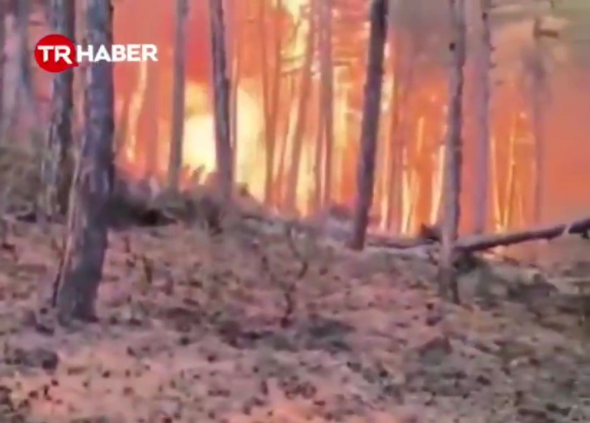 U požaru u Turskoj poginulo najmanje 10 vatrogasaca i spasilaca